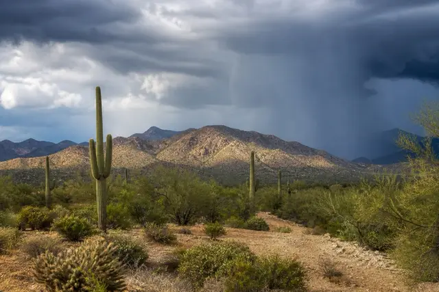 Monsoon storm cell dropping a gray rain shaft over the McDowell Mountains with sunlit creosote flat in front