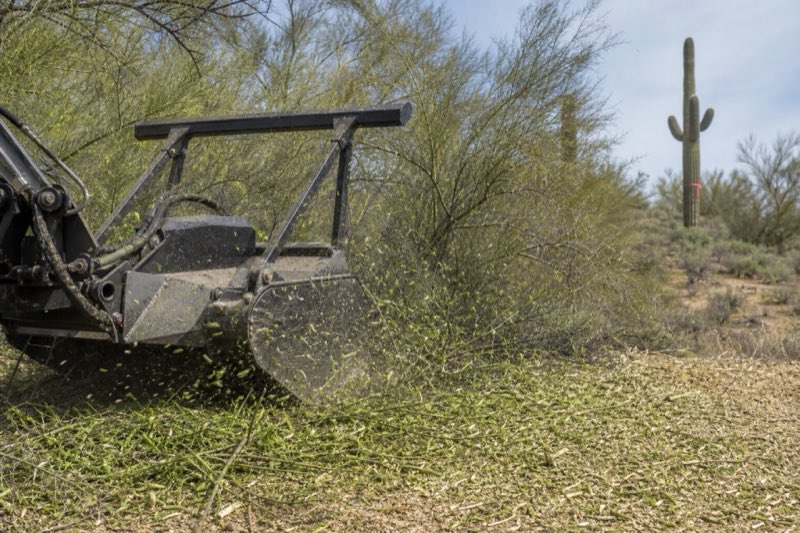 Mulcher head grinding palo verde regrowth into chips with a flagged saguaro standing well clear of the machine